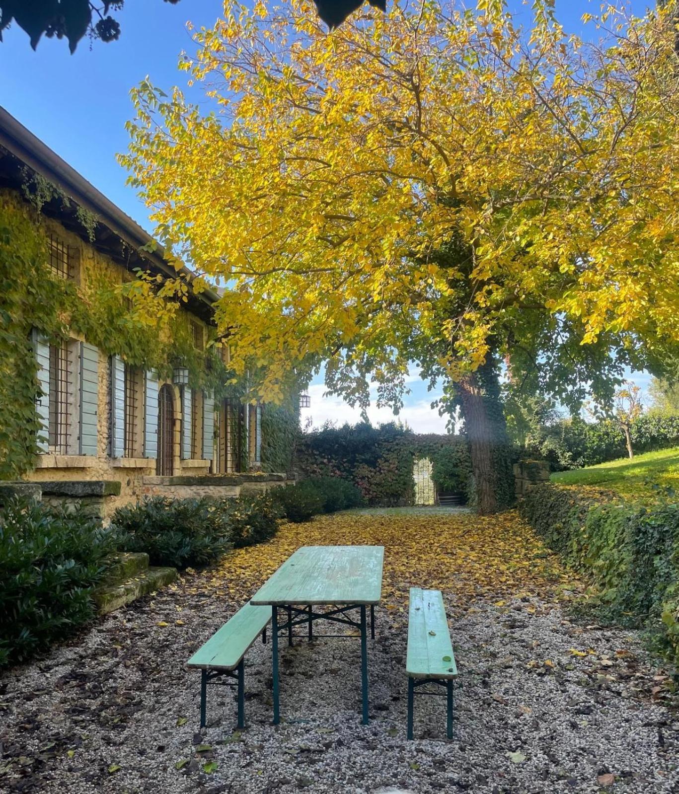 Ca' Del Buso Apartment